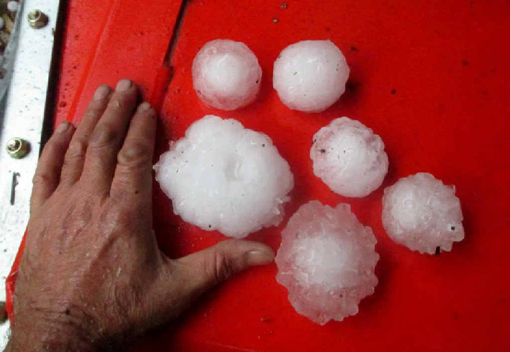 HOWZAT: Hail the size of cricket balls pounded properties at Nymboida at the weekend. HOWZAT: Hail the size of cricket balls pounded properties at Nymboida at the weekend.